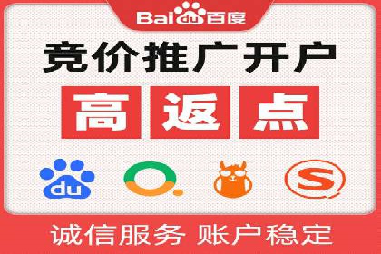某某SEM团队成功案例：广告投放策略揭秘